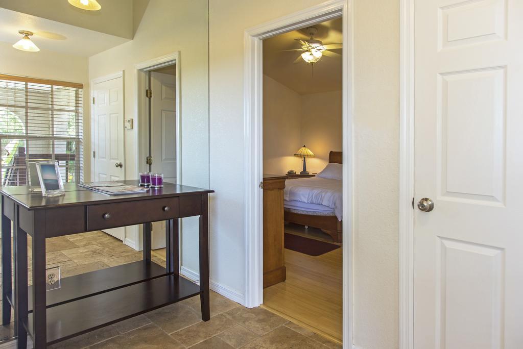 Treehouse Villa Tampa Dış mekan fotoğraf