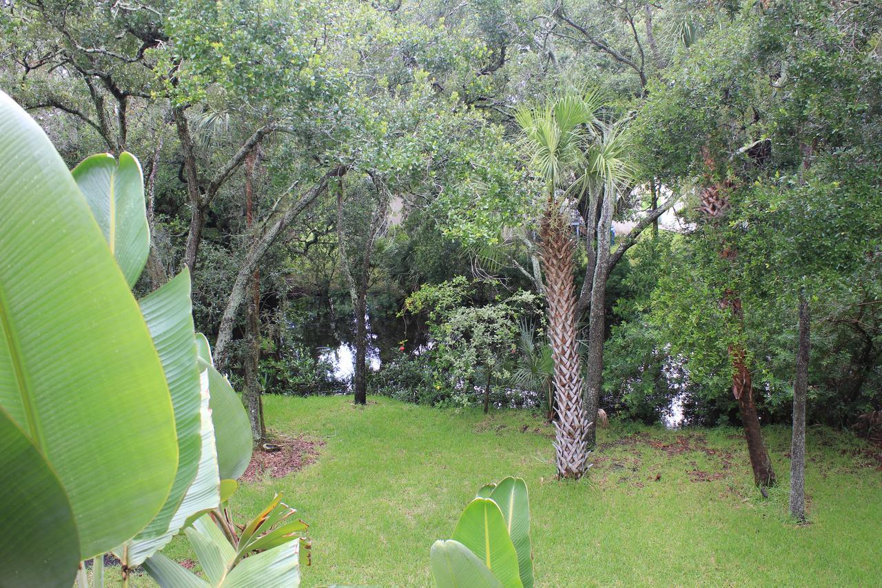Treehouse Villa Tampa Dış mekan fotoğraf