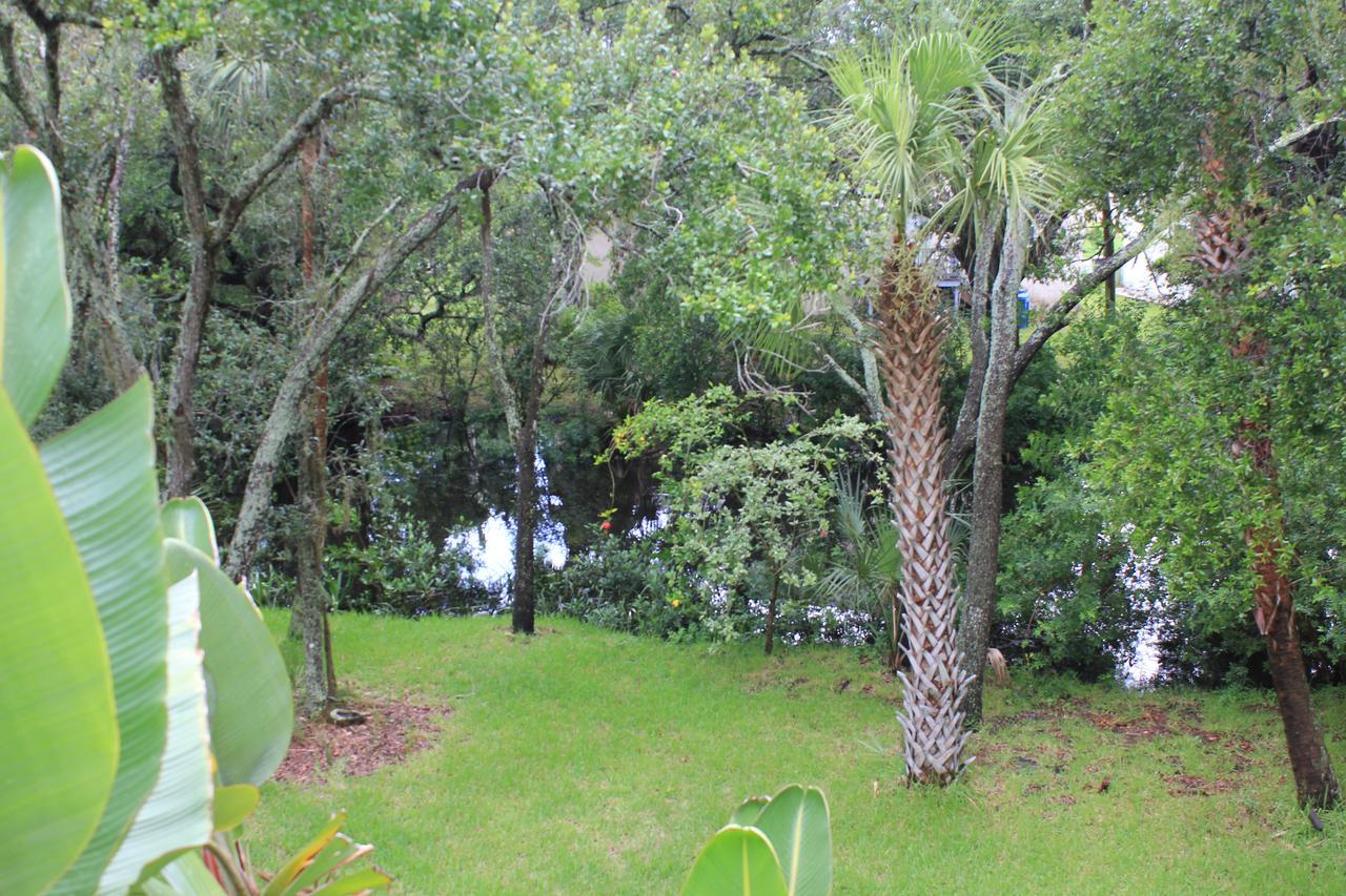 Treehouse Villa Tampa Dış mekan fotoğraf